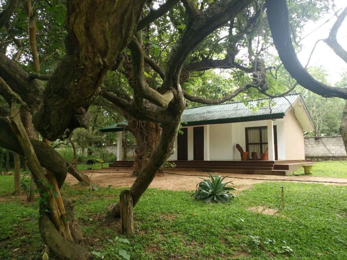 Eighth Wonder Resort Sigiriya Exterior photo