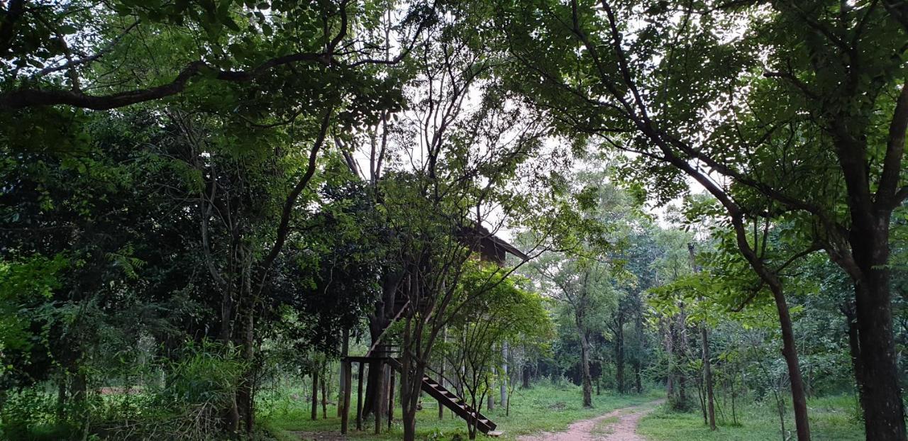 Eighth Wonder Resort Sigiriya Exterior photo
