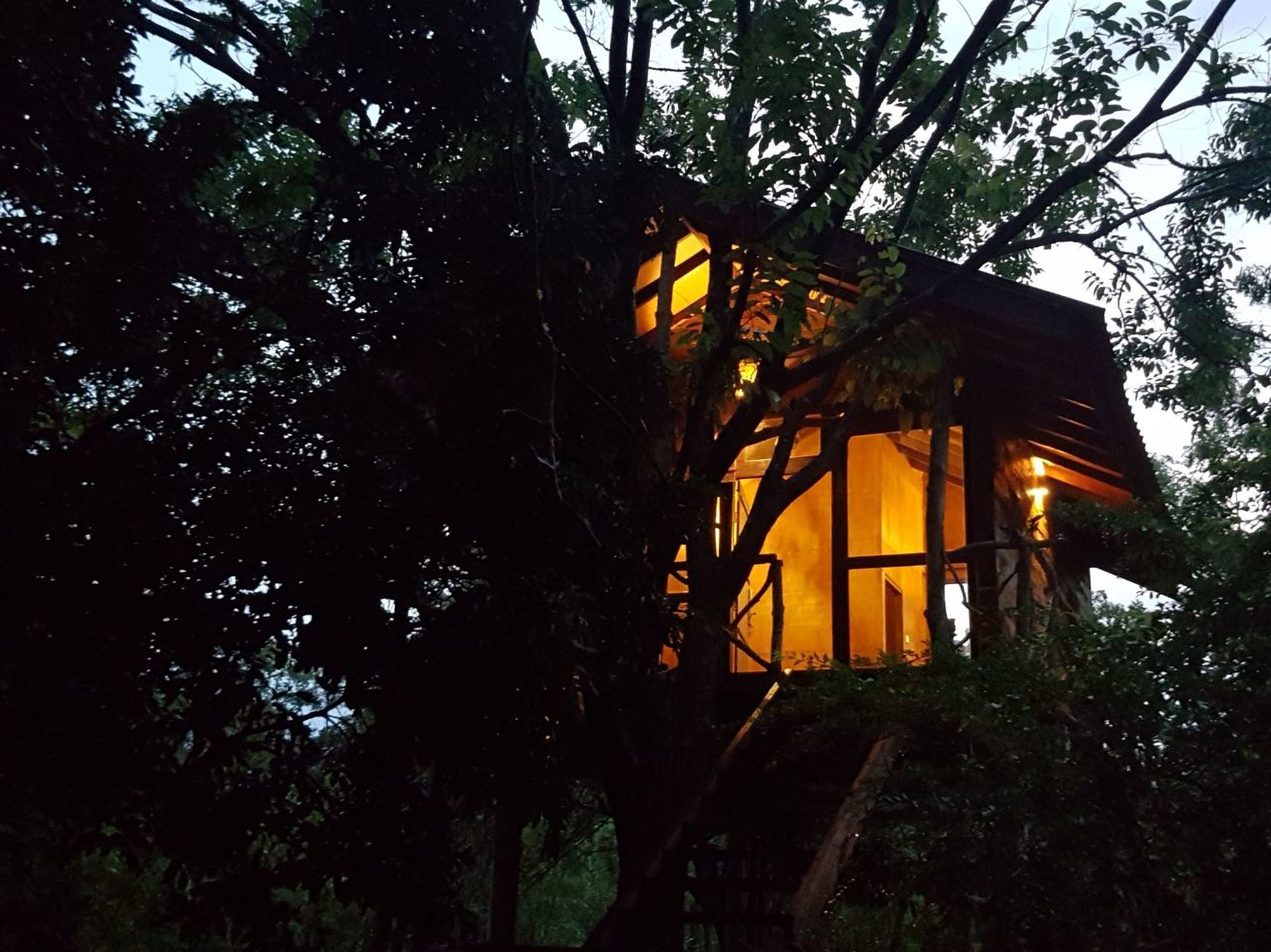 Eighth Wonder Resort Sigiriya Exterior photo