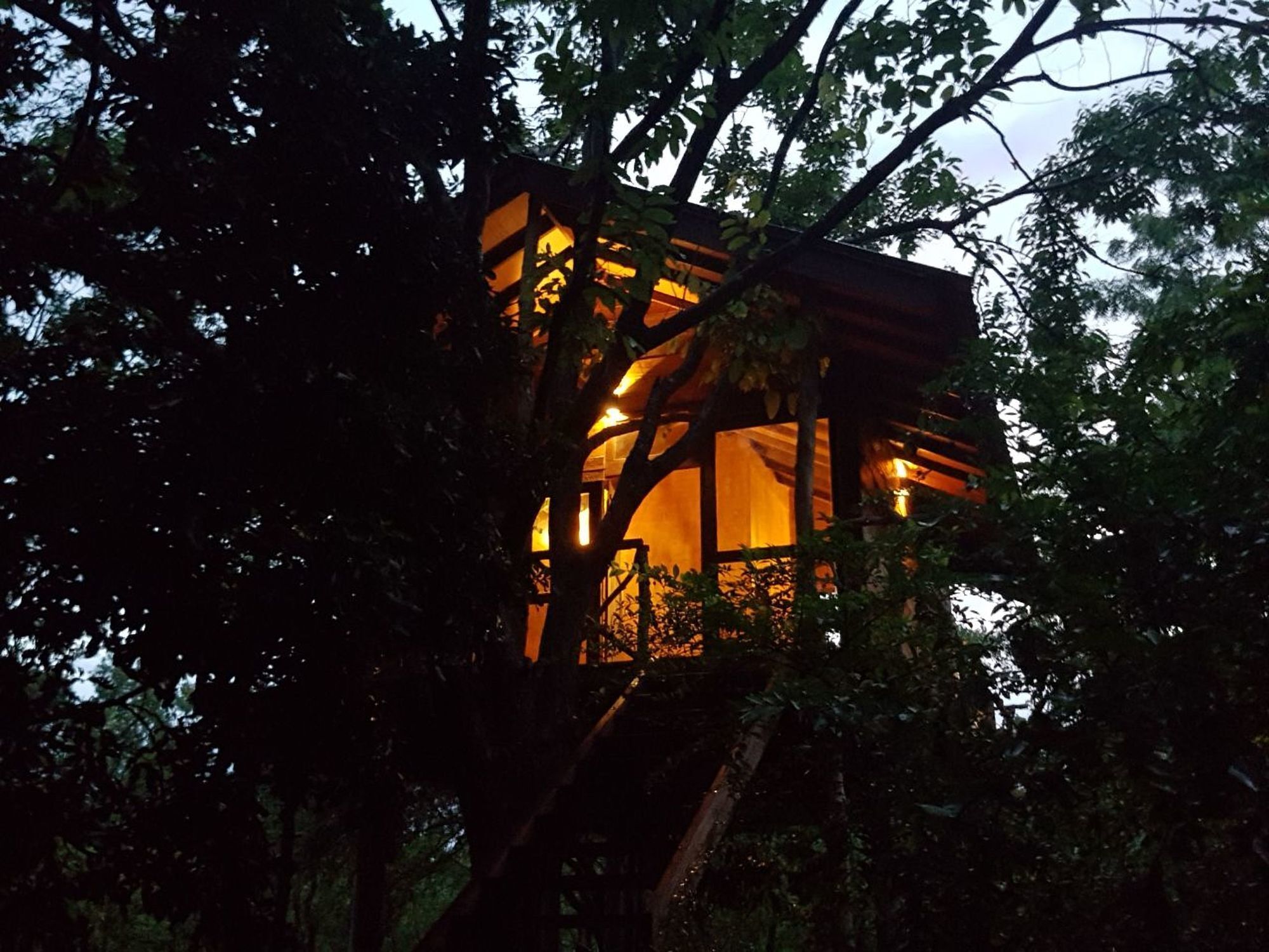 Eighth Wonder Resort Sigiriya Exterior photo