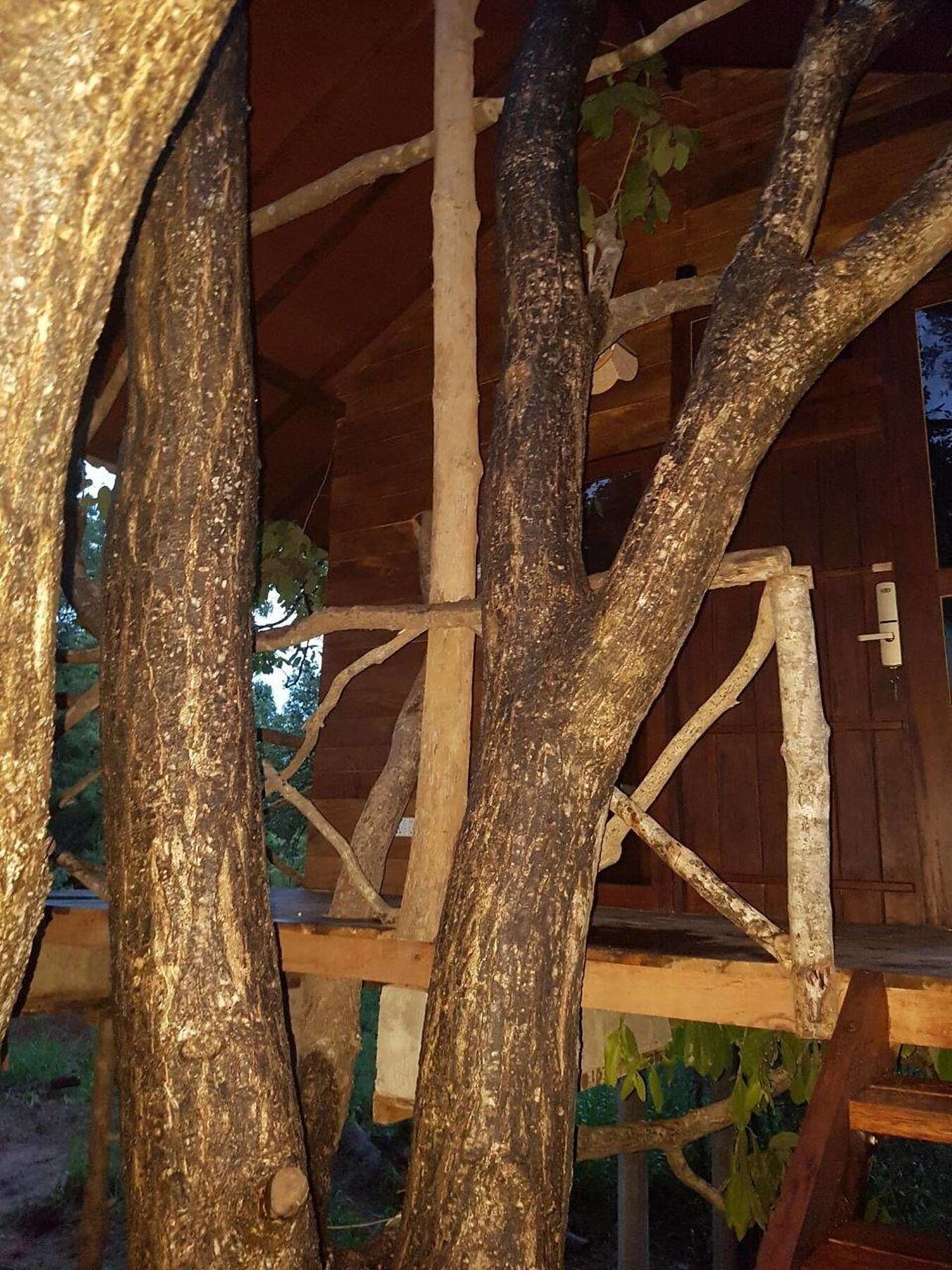 Eighth Wonder Resort Sigiriya Exterior photo